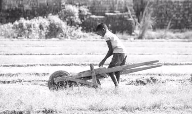 Justiça garante tratamento a adolescente vítima de trabalho infantil em fazenda de Rondônia