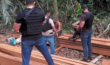 Polícia Civil flagra extração ilegal de castanheira e prende dois suspeitos em Nova Mamoré