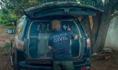 Polícia Civil detém pai acusado de agredir sexualmente a própria filha