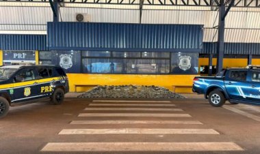 PRF e Receita Federal apreendem mais de 460 kg de drogas escondidos em carga industrial em Vilhena