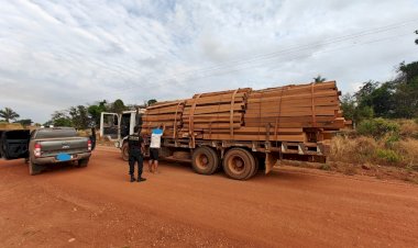 PF mira grupo suspeito de facilitar exploração ilegal em terras indígenas de Rondônia