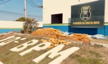 Polícia apreende cerca de 400 kg de drogas durante abordagem na RO-383, em Rolim de Moura