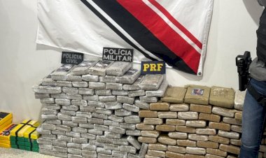 Operação conjunta apreende cerca de 400 kg de maconha e prende casal em área rural de Rondônia