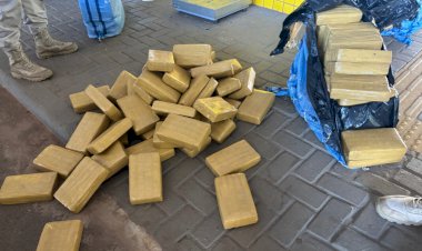 PRF apreende mais de 200 kg de skunk escondidos em carga de paletes na BR-364, em Vilhena