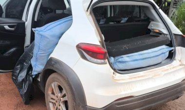 Perseguição termina com apreensão de cerca de 180 kg de skunk em São Francisco do Guaporé