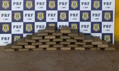 PRF encontra quase 40 kg de skunk escondidos em veículo na BR-364, em Pimenta Bueno