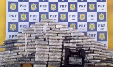 Polícia apreende 160 kg de skunk escondidos em baldes de massa corrida em Ji-Paraná