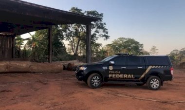 PF cumpre 19 mandados contra suspeitos de comércio ilegal de madeira em RO