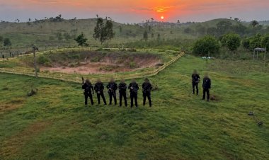 MPRO denuncia quatro suspeitos por suposta atuação em grupo armado e lavagem de dinheiro em RO