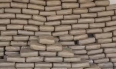 Denarc apreende cerca de 300 quilos de skunk, arma e colete balístico em Rondônia