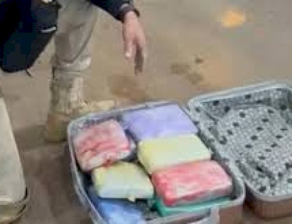 PRF intercepta mais de 10 kg de skunk em ônibus interestadual durante fiscalização em Vilhena