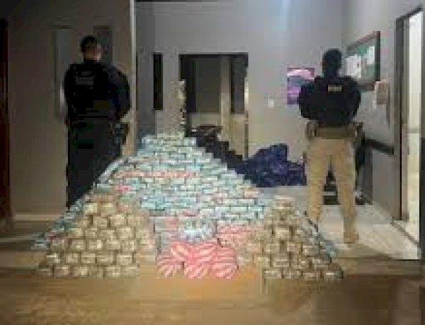 PRF apreende mais de 276 quilos de droga em ações na BR-364 e BR-429 em Rondônia