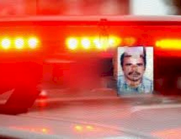 Pescador morre após ataque de abelhas e é encontrado em rio em distrito de Porto Velho