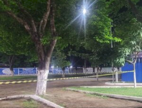 Árvore com risco de queda mobiliza Bombeiros e causa preocupação em praça de Vilhena