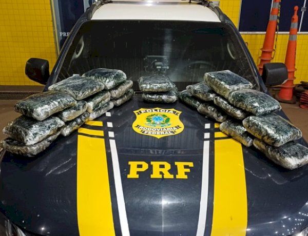 PRF apreende mais de 13 quilos de skunk em ônibus interestadual na BR-364 em Vilhena