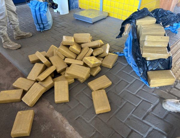 PRF apreende mais de 200 kg de skunk escondidos em carga de paletes na BR-364, em Vilhena