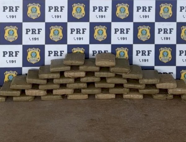 PRF encontra quase 40 kg de skunk escondidos em veículo na BR-364, em Pimenta Bueno