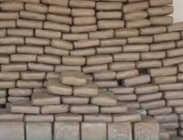 Denarc apreende cerca de 300 quilos de skunk, arma e colete balístico em Rondônia