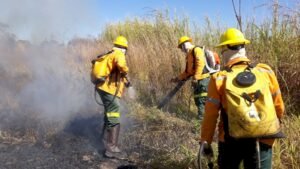 Curso de Capacitação para Brigadista Florestal Civil em Chupinguaia