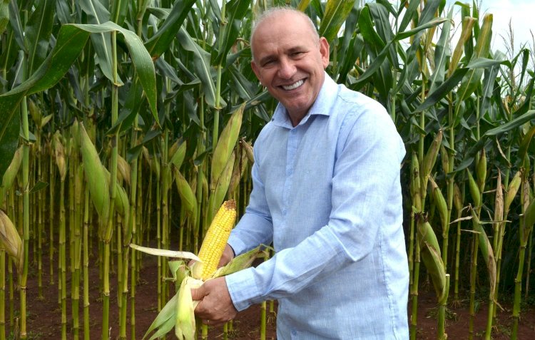 Ezequiel Neiva: Comunidade da Assembleia de Deus Missão se reúne em Nova Mamoré para tradicional produção de pamonha