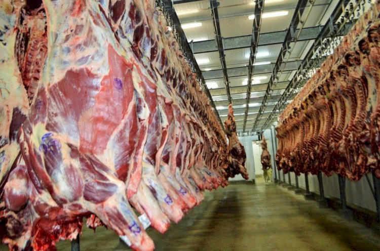 Rondônia se destaca internacionalmente na produção e exportação de carne bovina sob gestão Marcos Rocha