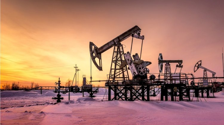 Reserva de petróleo na Bacia do Parecis entre RO e MT é arrematada em leilão da ANP