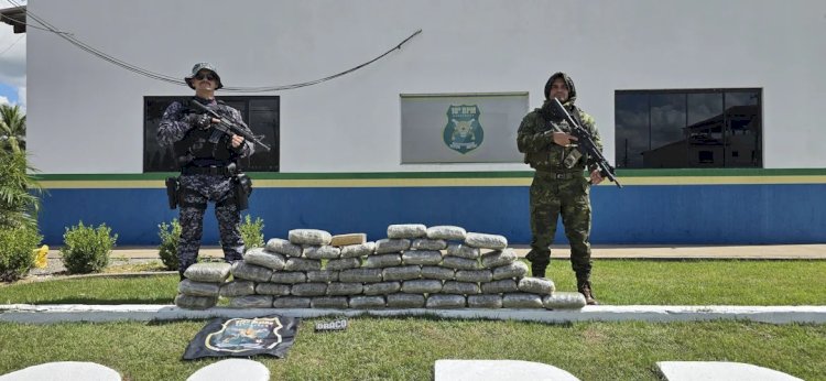 Dupla é presa com quase 50 kg de skunk durante operação em rodovia de Rondônia