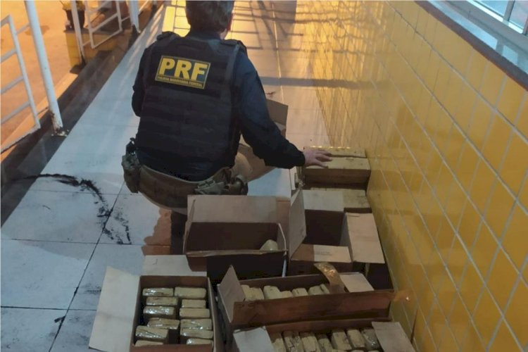 PRF apreende 23 kg de maconha em táxi na BR-364, em Porto Velho