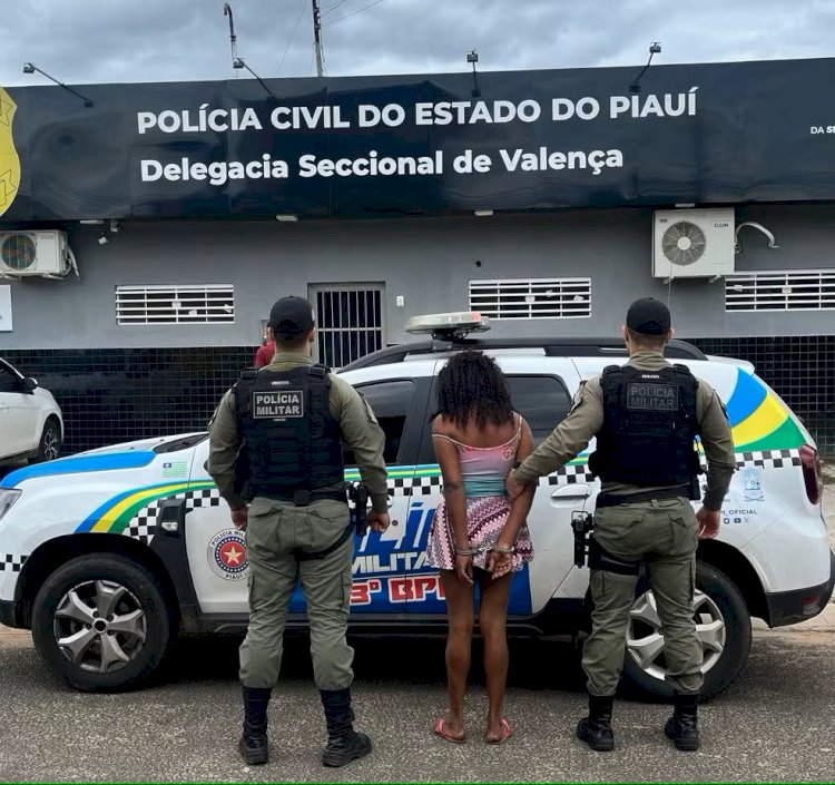 Mulher é presa por furto e venda de objetos roubados a idosas em Vilhena