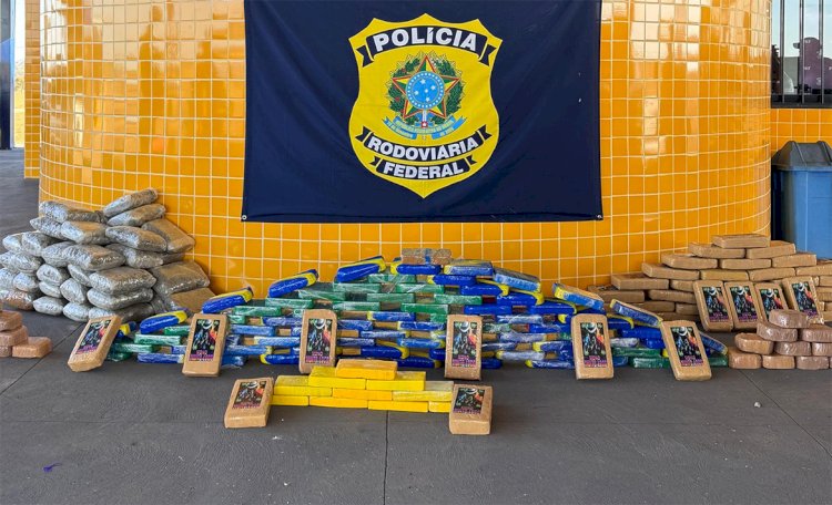 Caminhão com madeira de Rondônia levava mais de 200 kg de drogas para Minas Gerais
