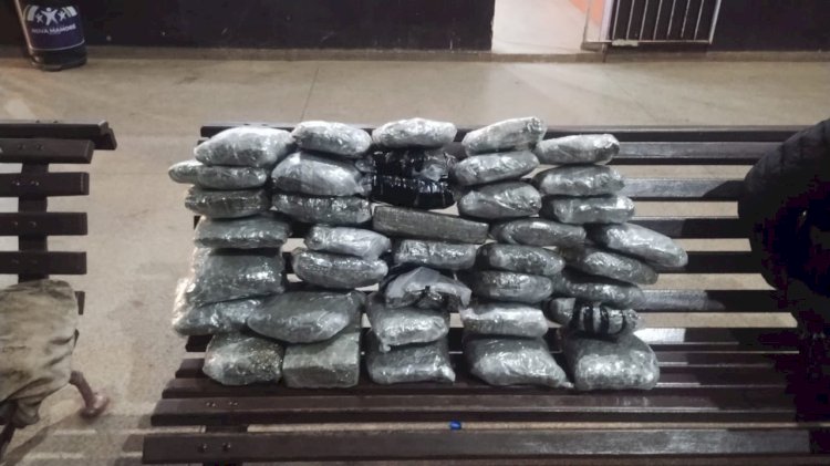 Polícia apreende cerca de 20 quilos de maconha e detém adolescente em rodoviária de Nova Mamoré