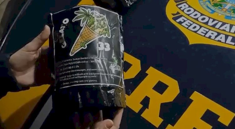 PRF apreende quase 168 kg de skunk e prende suspeito por tráfico na BR-174, em Vilhena