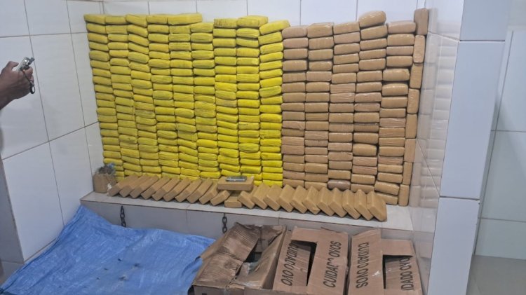 Operação da PM resulta na apreensão de 328 quilos de drogas e prisão de casal em Cacoal