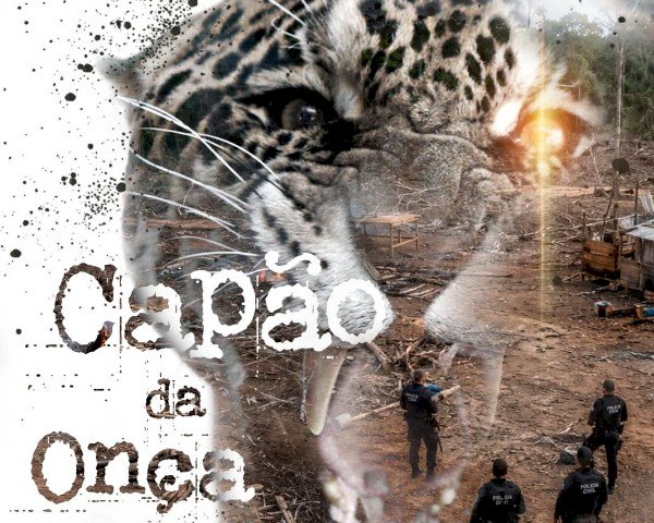 Polícia Civil cumpre mandados contra investigados por invasão de área rural e crimes ambientais em Rondônia
