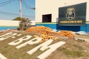 Polícia apreende cerca de 400 kg de drogas durante abordagem na RO-383, em Rolim de Moura